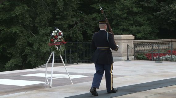 换岗在无名战士墓10股票的录像