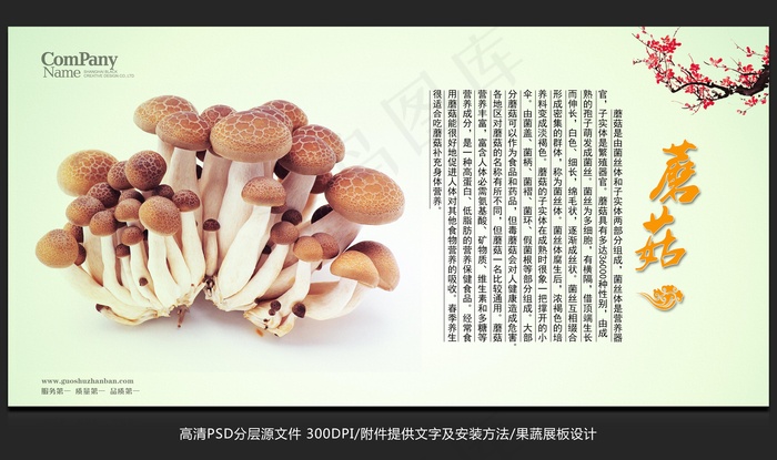 蔬菜展板设计蘑菇海报招贴广告设计psd模版下载