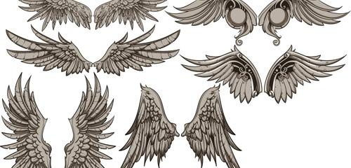 老式的翅膀设计矢量集01