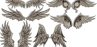 老式的翅膀设计矢量集01