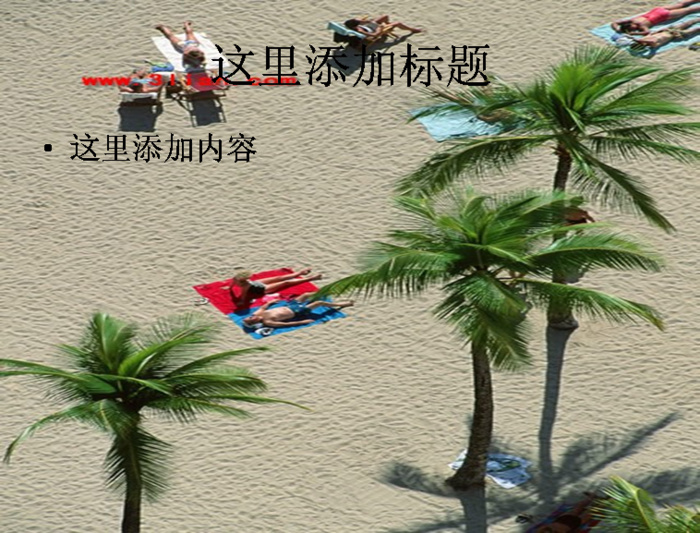 夏日沙滩