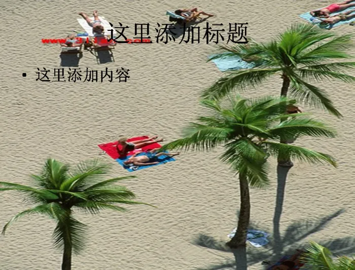 夏日沙滩