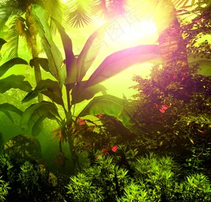 热带雨林植物摄影图片