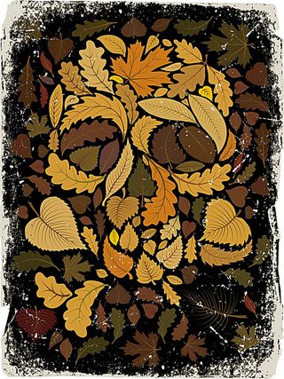 骷髅服饰印花图案