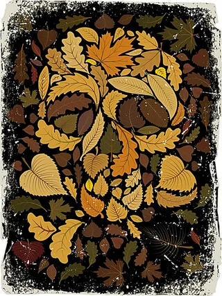 骷髅服饰印花图案