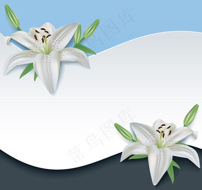 3d剪纸花卉背景图片