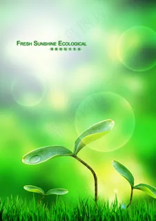 清新的阳光生态 清新的阳光生态