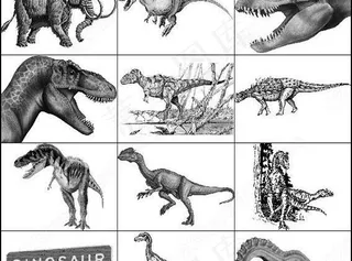 最新动物笔刷图片