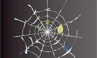 蜘蛛网图片