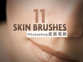 Photoshop皮肤肤质笔刷ab...