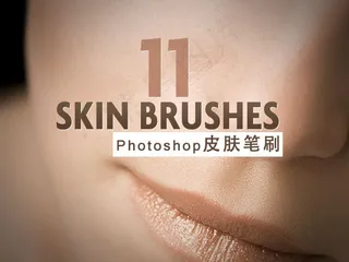 Photoshop皮肤肤质笔刷ab...