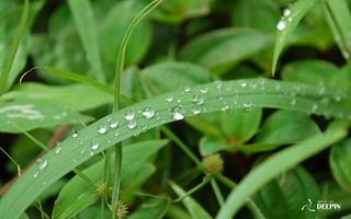 高清电脑桌面背景壁纸