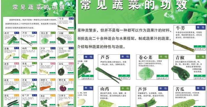 水果简介图片cdr矢量模版下载