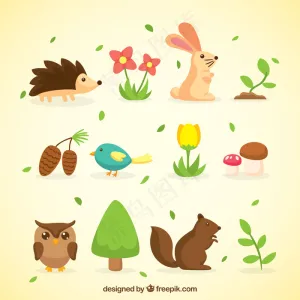 春季动物与自然收藏