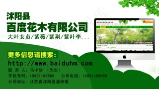 手机微信图图片