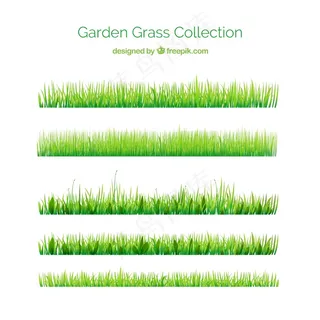 你花园的绿色草