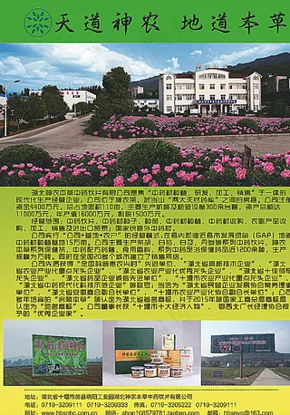 湖北十堰房县神农本草中药公司图片