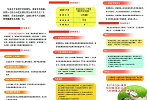 人保三折页 少儿成长图片