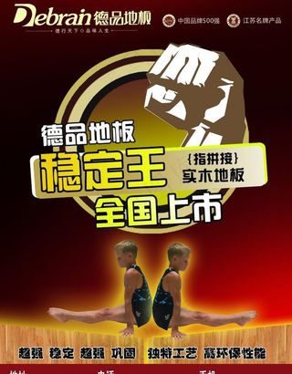 德品地板dm单图片