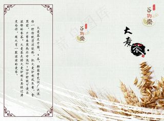 复古风大麦茶三折页
