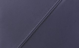 真皮纹理素材图片