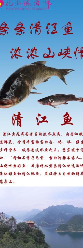清江鱼展示架图片psd模版下载