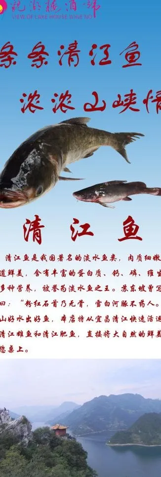 清江鱼展示架图片psd模版下载