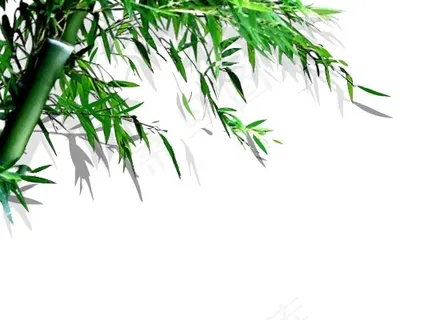 flash竹叶摆动动画