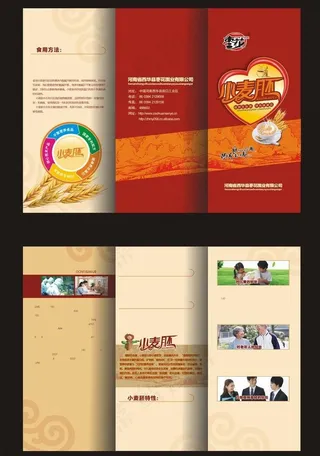 小麦胚三折页图片