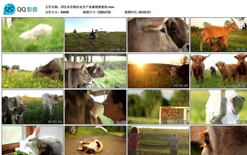 农作物农业生产家禽视频素材 农作物农业生产家禽视频素材