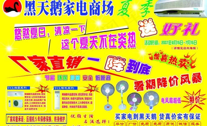 黑天鹅图片
