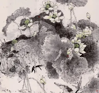 池塘荷花图片 池塘荷花图片