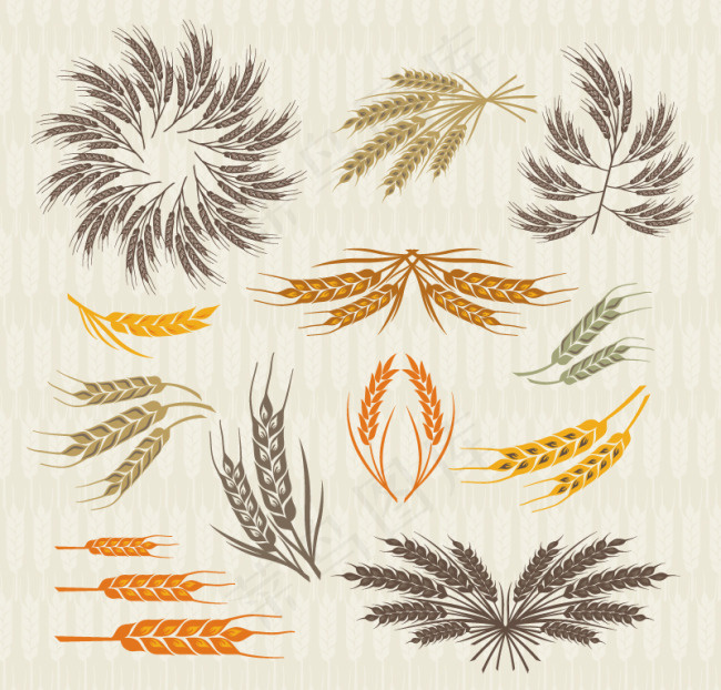 彩色麦穗矢量素材下载