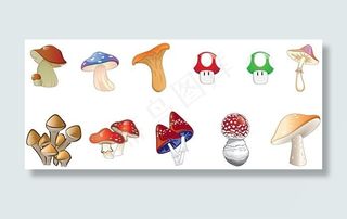 蘑菇蘑菇矢量插画矢量包