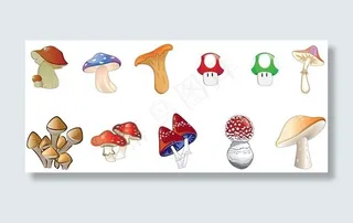 蘑菇蘑菇矢量插画矢量包