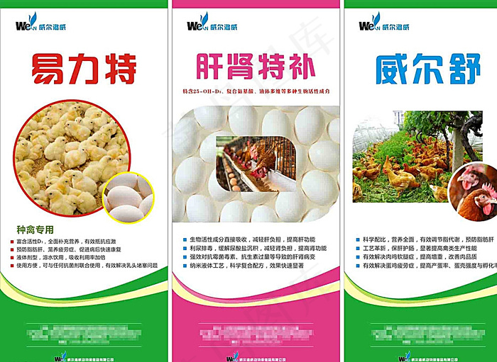 威尔潞威展架图片