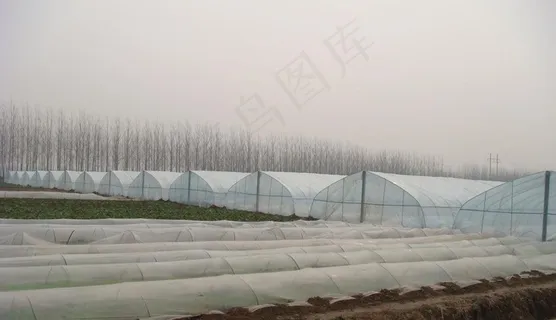 蔬菜大棚基地图片
