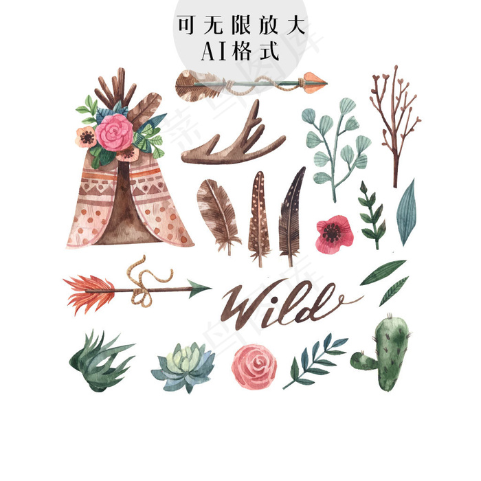 花卉
