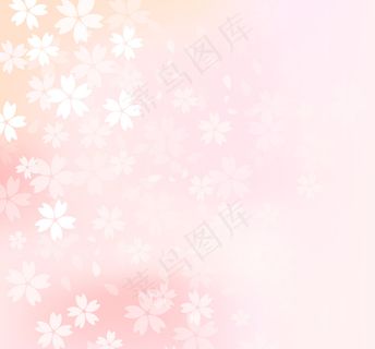 素雅樱花花朵背景矢量素材