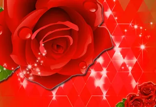 玫瑰花背景墙