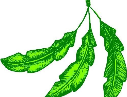 花草树木植物eps,ai矢量模版下载