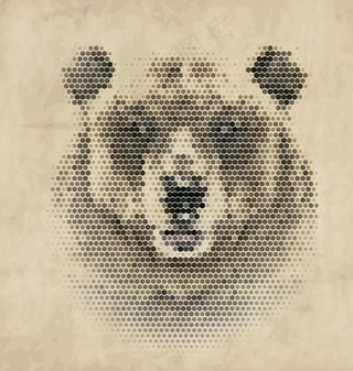 动物头像 熊图片