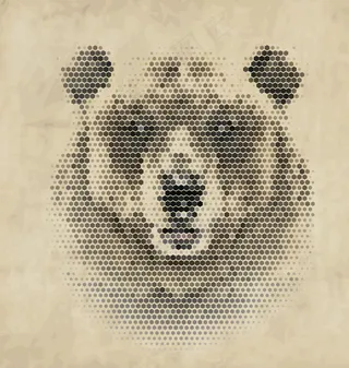 动物头像 熊图片