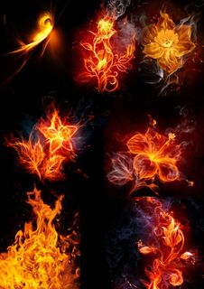 火焰.花.火花