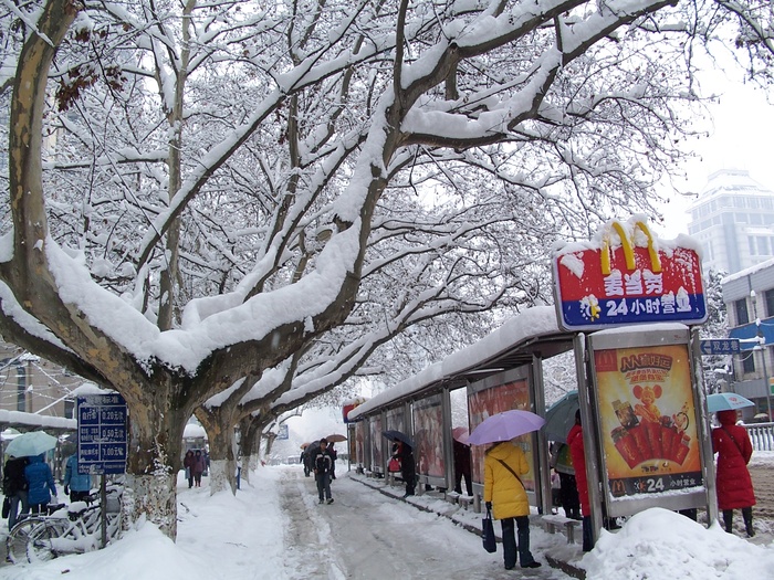 2008年*路雪景图片