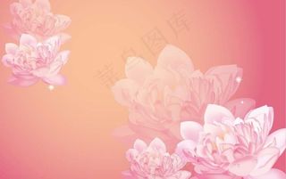 梦幻矢量荷花图片