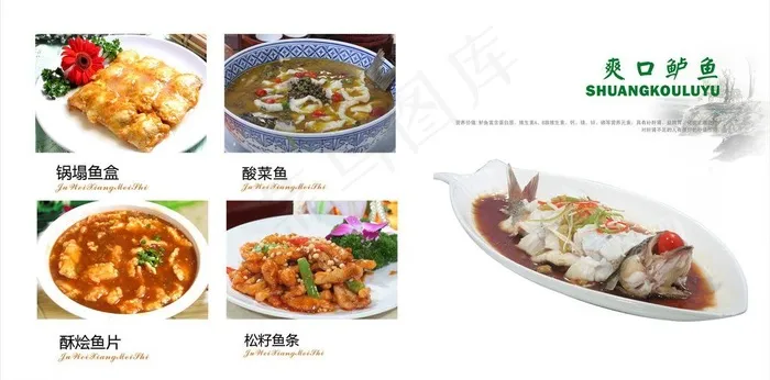 鱼类大全图片psd模版下载