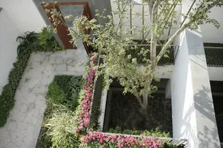 万科套图系列 围墙 古典 雅韵 现...