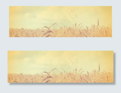 淘宝秋天风景背景