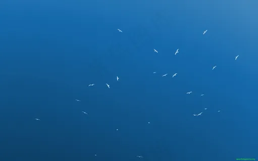 高清电脑桌面背景壁纸